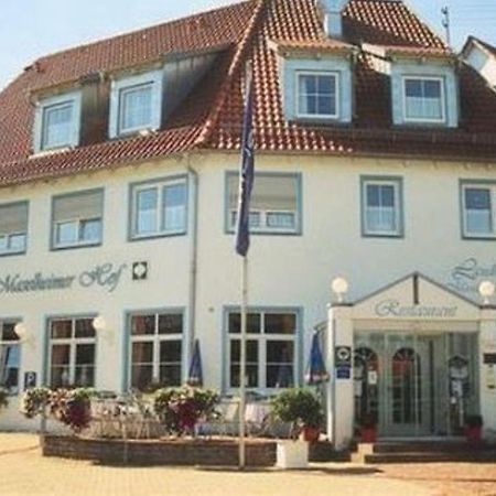 Garni Hotel Maselheimer Hof Bagian luar foto